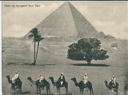 SUEZ      -  Egypte  -     Pyramide - Suez