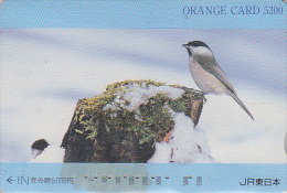 Carte Orange Japon - Animal - OISEAU MESANGE BOREALE Sur Rocher - BIRD Japan Prepaid JR Card - Meise Vogel - 3645 - Pájaros Cantores (Passeri)