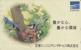 Télécarte Japon / 110-011 - OISEAU - GEAI Au Nourrissage - JAY BIRD  Japan Phonecard - VOGEL Telefonkarte - BE 3651 - Songbirds & Tree Dwellers