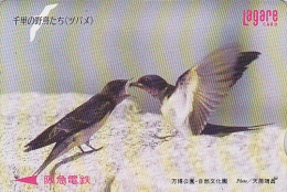 Carte Japon - OISEAU - HIRONDELLE / Nourrissage - SWALLOW BIRD Japan Prepaid Lagare Card / Série Ailes - BE 3663 - Sperlingsvögel & Singvögel