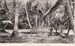 République De KIRIBATI - Iles GILBERT - L´intérieur De La Forêt Tropicale - Kiribati