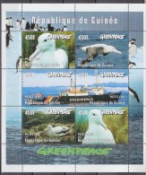 Greenpeace 1998 République De Guinée Albatros M/s ** Mnh (18472) - Palmípedos Marinos