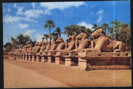 Luxor-karnak-the Sphinx Avenue-used,perfect Shape - Luxor