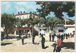 83 - LA VALETTE - Les Boulistes Sur La Place - CIM 20 - 1971 - Pétanque - La Valette Du Var