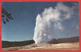 CARTOLINA VG STATI UNITI - YELLOWSTONE NATIONAL PARK - Old Faithful Geyser - 9 X 14 - ANNULLO MANUALE ANNI 70 - Yellowstone