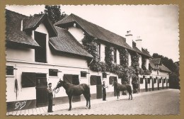 BELLE C.P.S.M.41 - LA SUISSE NORMANDE -- PONT-D'OUILLY (Calvados) - Haras D'Ouilly - Pavillon Des Parcs - HARAS - CHEVAL - Pont D'Ouilly