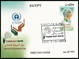EGYPT 2013 FIRST DAY COVER / FDC WORLD ENVIRONMENT DAY ( THINK - EAT - SAVE ) - Briefe U. Dokumente