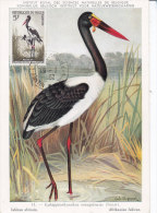 Animaux, Carte Maximum  Niger Yvert 99, Jabirou - Kranichvögel