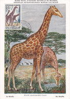 Animaux, Carte Maximum  Niger Yvert 103, Girafes - Giraffes