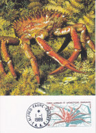 Animaux, Carte Maximum T A A F  Yvert 140, Crabe - Crustaceans