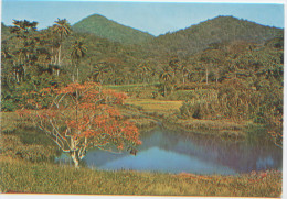 République De Guinée, Site Touristique, Sérédou R.A. De Macenta, N'a Pas Circulé, Ed. Syliphoto à Conakry, N° GUI 7/15 - Guinea