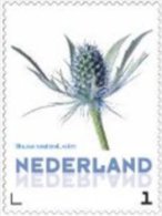 Nederland  2014   Bloem  Blauwe Distel        Postfris/mnh/sans Charniere - Francobolli Personalizzati