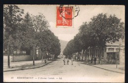 REMIREMONT . L'Avenue Carnot . - Remiremont
