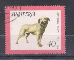 Albania 1966 Mi Nr 1032 (a1p18) - Perros