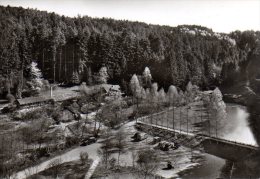 Lorch In Württemberg - S/w Waldkaffee Muckensee - Lorch