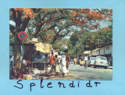 CP GUINEE-conakry-rue Bordee Flamboyants D´etalages - Guinea