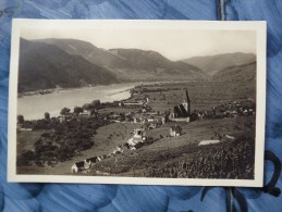 CARTOLINA Di WACHAU   NON  VIAGGIATA  A9145 - Wachau