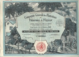 PLANTATIONS DE L'OGOOUE - Afrique