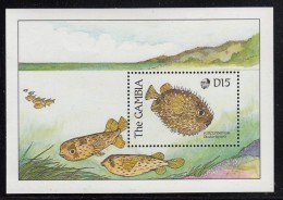 Gambia MNH Scott #895 Souvenir Sheet 15d Porcupinefish - Gambia (1965-...)