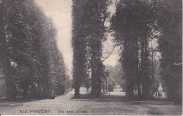 AK Bad Pyrmont - Die Drei Alleen - 1915 (10151) - Bad Pyrmont