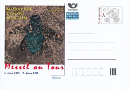 Czech Rep. / Postal Stat. (Pre2012/02) Exhibition "Messel On Tour" - Fosil Jewel Beetle - Postcards