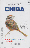 Télécarte Japon / 110-011- OISEAU - BRUANT A LONGUE QUEUE - BUNTING BIRD Japan Phonecard - VOGEL TK - 3676 - Songbirds & Tree Dwellers