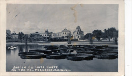 Jardim Da Casa Forte. Recife. Pernambuco. Brasil - Recife