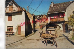 09 - ENVIRONS DE SENTEIN - VILLAGE D' ANTRAS- ANE PORTANT DU BOIS - Autres & Non Classés