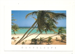 Cp, Guadeloupe,  Voyagée (pas D'oblitération) - Other & Unclassified