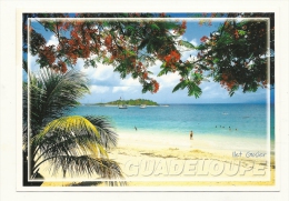 Cp, Guadeloupe, Plage De Gosier Et Son Ilet, écrite - Other & Unclassified