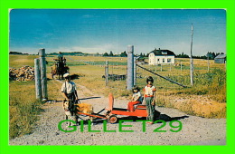 MADELEINE QUÉBEC - PETITS GASPÉSIENS VOITURE FAITE AU PAYS, TIRÉE PAR UN CHIEN - CIRCULÉE EN 1987  - CASSIDY'S PHOTO - - Gaspé