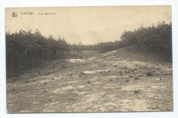 Carte Postale - LANKLAAR - LANKLAER - Les Sapinières - CPA    // - Dilsen-Stokkem
