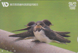 RARE Carte Prépayée Japon - OISEAU - HIRONDELLE - SWALLOW BIRD Japan Prepaid Card - SCHWALBE Vogel QUO Karte - 3682 - Passereaux
