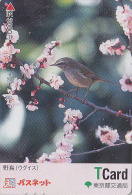 Carte Prépayée Japon - Animal - OISEAU - FAUVETTE PARULINE - THRUSH BIRD Japan Prepaid T Card - Vogel - 3684 - Sperlingsvögel & Singvögel