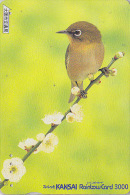 Carte Prépayée Japon - OISEAU - FAUVETTE JAPONAISE - ZOSTEROPS BIRD Japan Prepaid Card - Vogel Rainbow Karte - 3685 - Pájaros Cantores (Passeri)