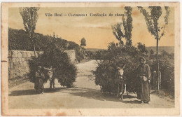 Vila Real - Condução De Cahmiça - Costumes Portugueses (Postal C/ Manchas) - Vila Real