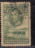 Bechuanaland Used 1938, ½d KG VI Series, Baobab Tree, Cattle Drinking Water,  Animal, - 1885-1964 Bechuanaland Protectorate