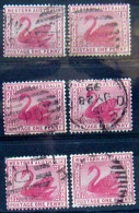 WESTERN AUSTRALIA 1899 1p Swan USED 6 Stamps Scott73 CV$9 Watermark : 83 - Usati