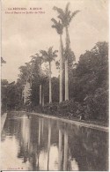 LA REUNION SAINT DENIS  GRAND BASSIN AU JARDIN DE L'ETAT - Saint Denis