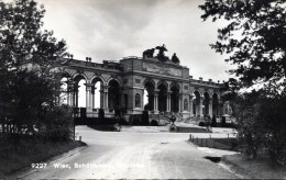 Wien. Schönbrunn. Gloriette - Château De Schönbrunn