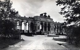 Wien. Schönbrunn. Gloriette - Schloss Schönbrunn