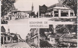 Tarn Et  Garonne :   GRISOLLES  : Vues - Grisolles