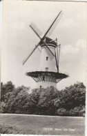 PAYS-BAS - THOLEN - MOLEN DE HOOP - Tholen