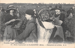 GIRONDE  33  BLANQUEFORT (MEDOC) ECOLE D'AGRICULTURE  VENDANGES  CHARGEMENT DE LA HOTTE - Blanquefort