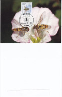 Animaux,  Schwebfliege, Abeille, Carte Maximum Allemagne Bonn 1984, Yvert 1037 - Abeilles