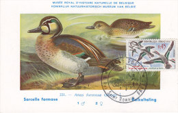 Animaux, Sarcelle Formose, Carte Maximum Paris 1960, Yvert 1275 - Canards