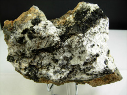 ENCLAVE DE GNEISS A CORDIERITE DANS LAVE VOLCANIQUE 12 X 8, CM LE PUY EN VELAY - Fossiles