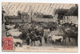 Cpa 89 - Saint-Sauveur (Yonne - Puisaye) - Le Champ De Foire - 1905 - Saint Sauveur En Puisaye