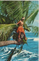 TAHITI Danseuse  Jeune Fille Tahitienne - Tahiti