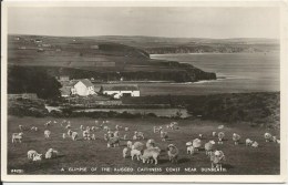 A Glimpse Of The Rugged Caithness Coast Near Dunbeath - Caithness